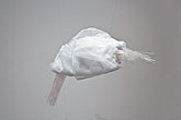 Agnieszka Bar - VEIL