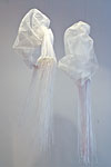Agnieszka Bar - VEILS