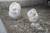 Agnieszka Kajper - COCOONS
