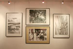 Galeria PRO ARTE - GRONO