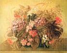 Boena Cajdler-Gruszkiewicz