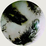 Magorzata Bukowicz - LUNY