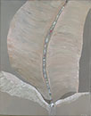 Bdmy Pro Arte - Krystyna Przdka